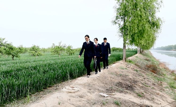 “豫北糧倉”飄揚“綠絲帶”